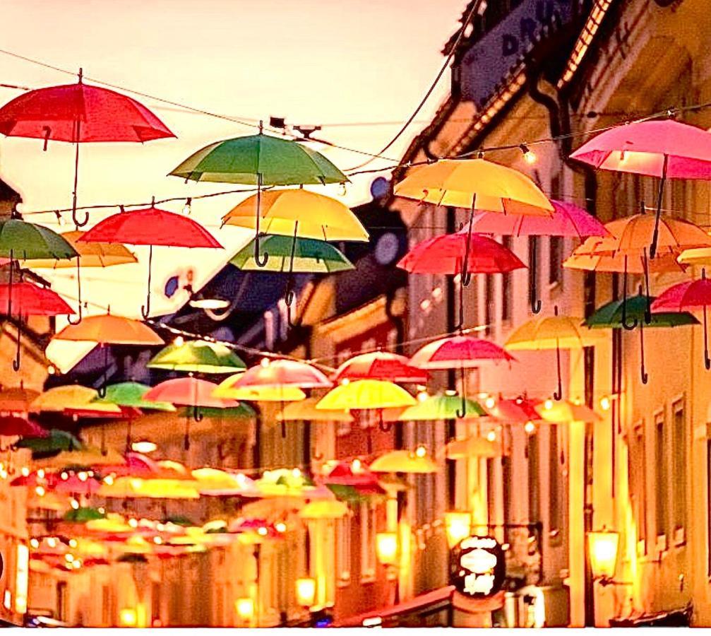 Hostel Lovely Rooms, City Center, Shared Bathroom, Windows To Corridor Villach Exteriör bild