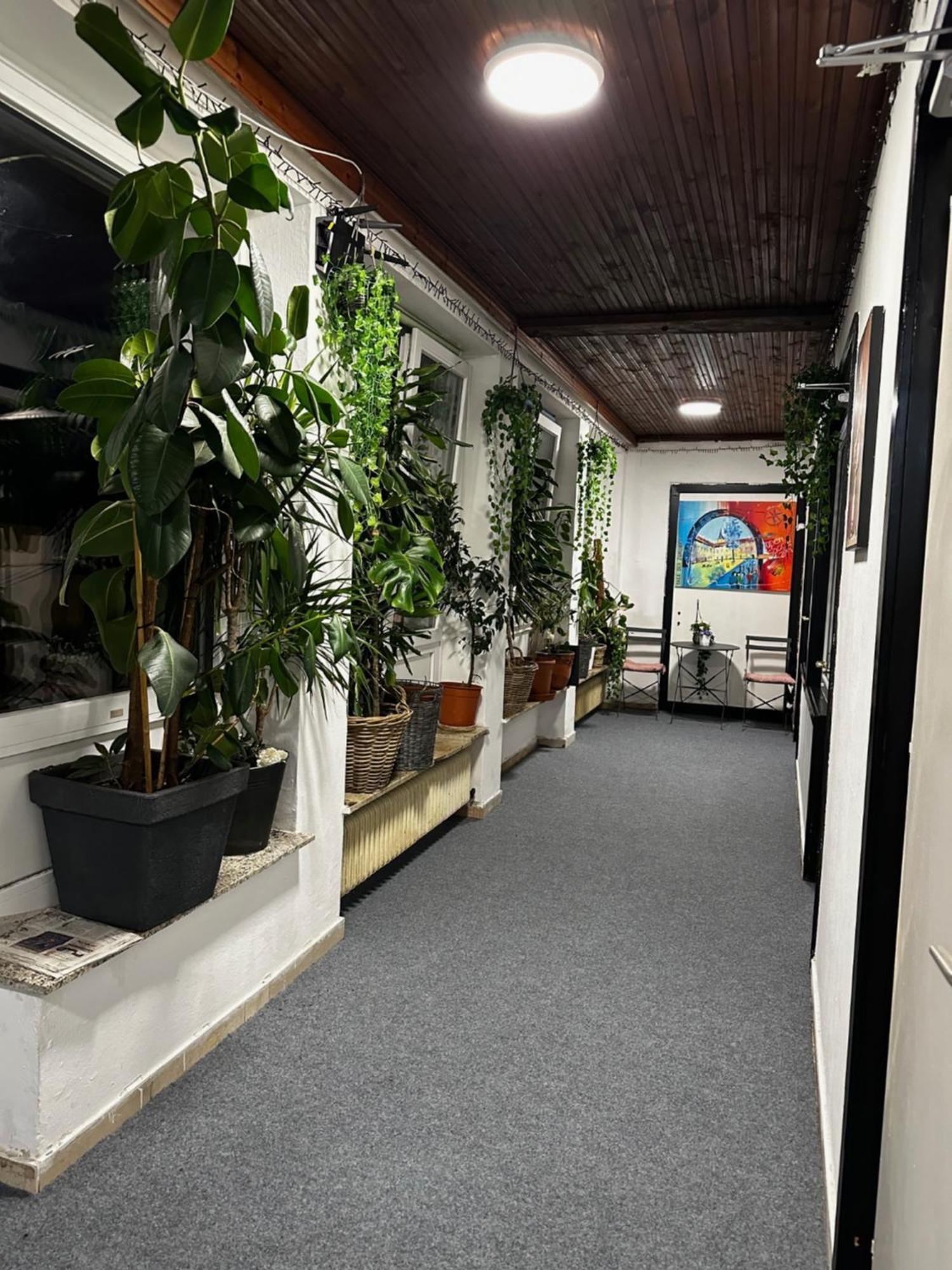 Hostel Lovely Rooms, City Center, Shared Bathroom, Windows To Corridor Villach Exteriör bild
