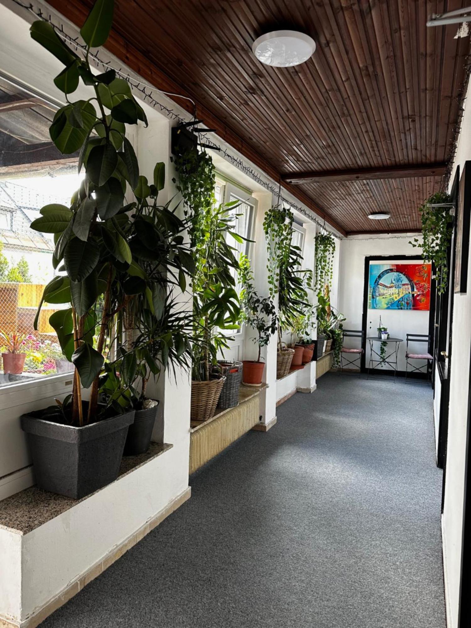 Hostel Lovely Rooms, City Center, Shared Bathroom, Windows To Corridor Villach Exteriör bild